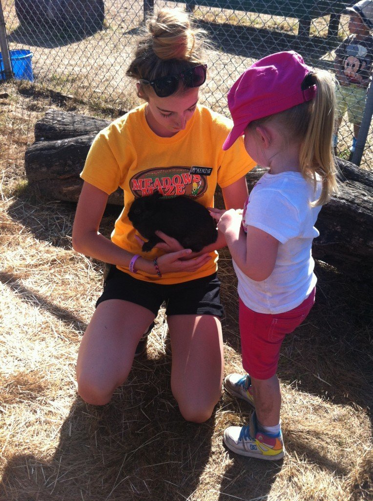 Alivia Petting Zoo Meadows Maze