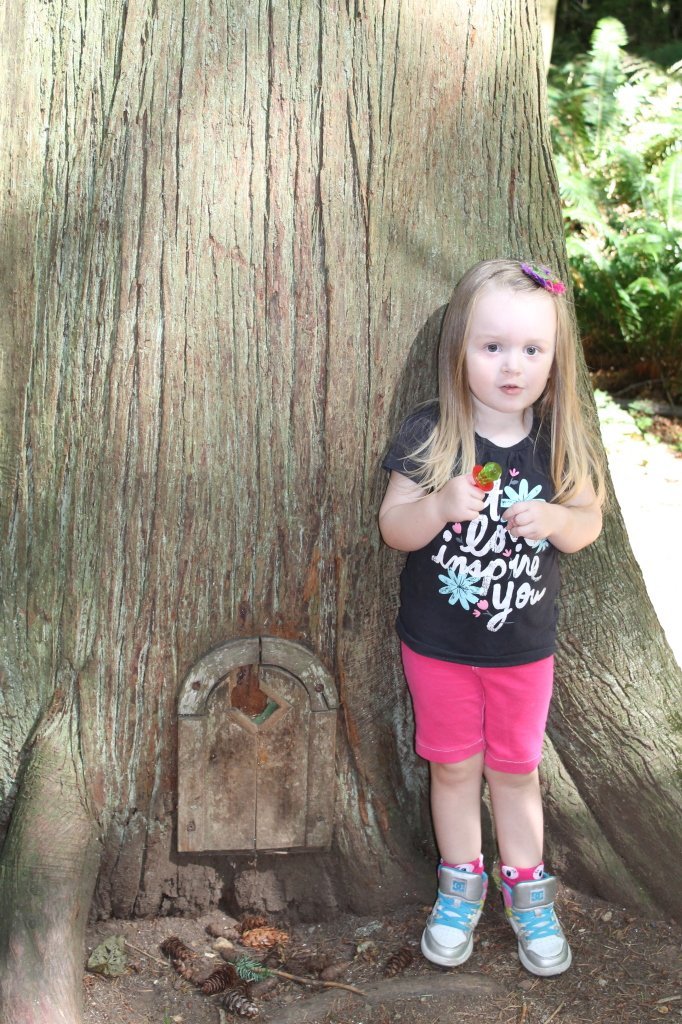 Alivia Redwood Fairy Door