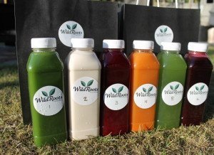 wild roots juice cleanse