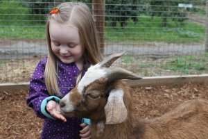 Alivia & Goat at AppleBarn