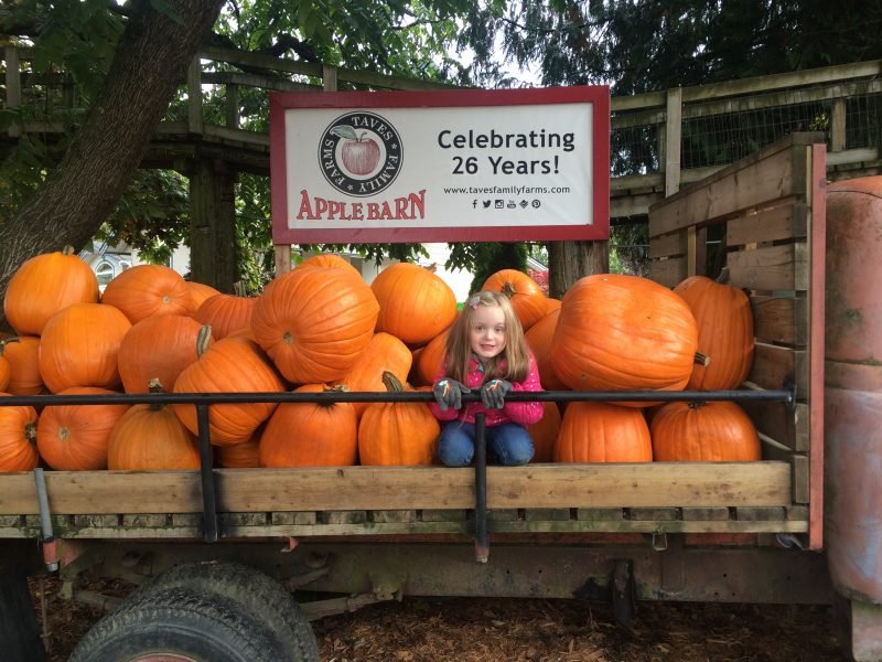 Taves Family Farms Applebarn