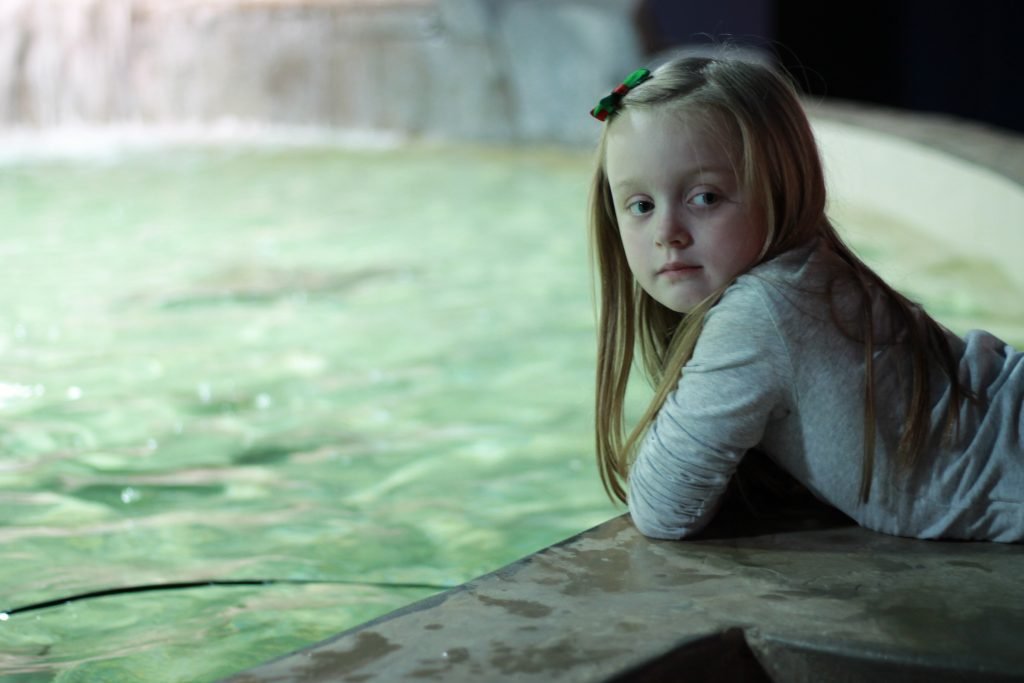 Vancouver Aquarium Discover Rays Pool