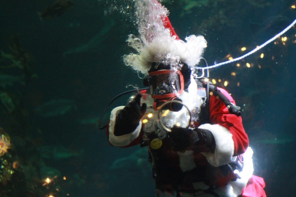 Vancouver Aquarium Scuba Claus