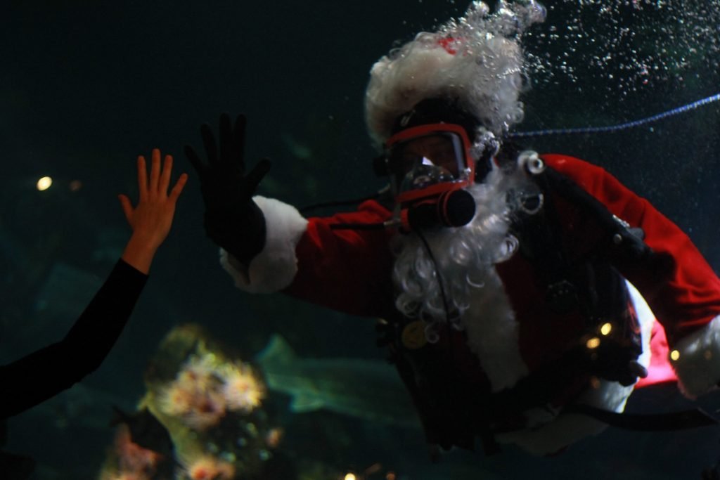 Vancouver Aquarium Scuba Claus