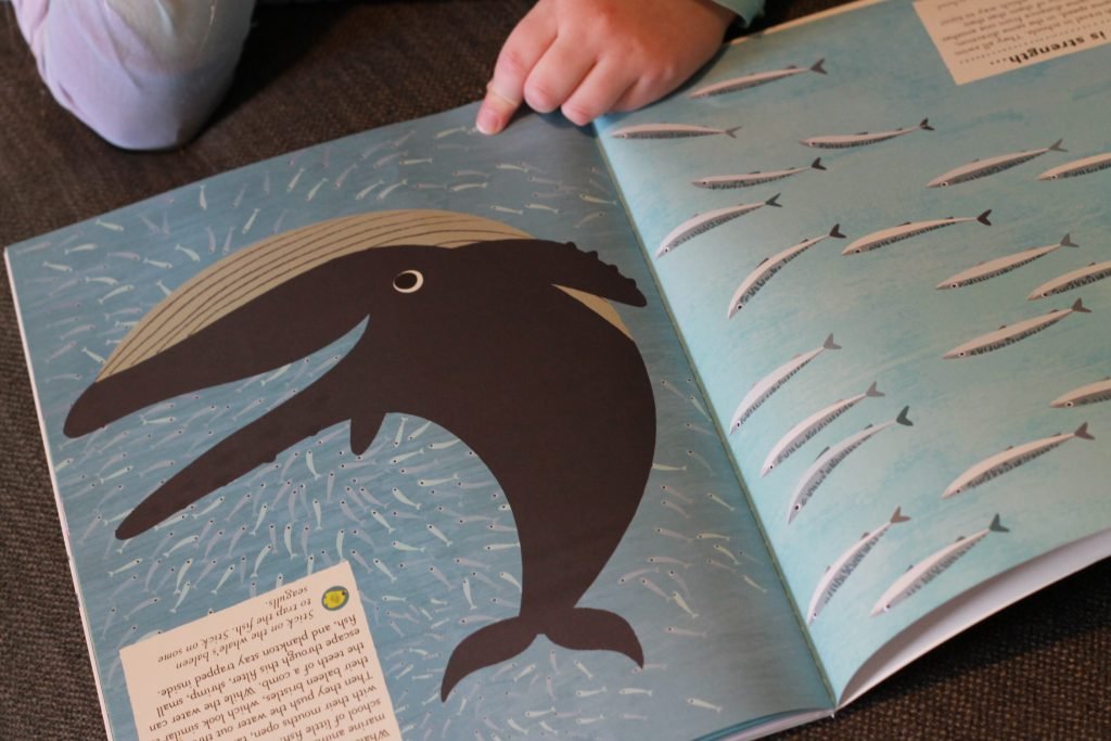 My nature Sticker Activity Book Raincoast Books