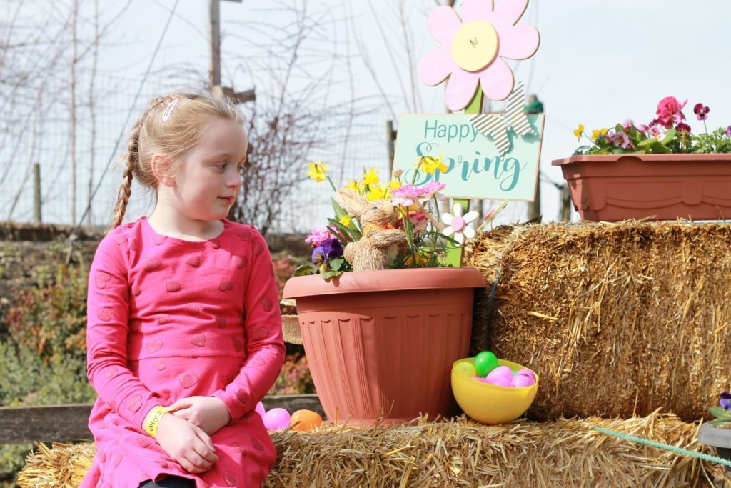 Taves Family Farm Applebarn Spring