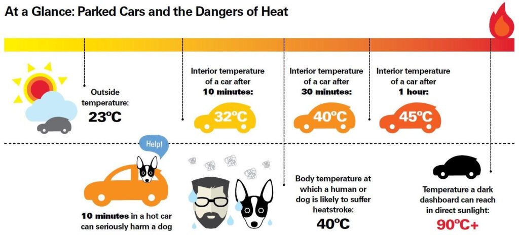 Heat Wave Inforgraphic, parked cars and dangers of heat