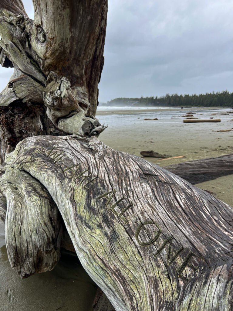 Tofino BC We are all one beach shot